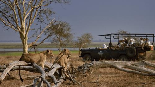Parque da Gorongosa